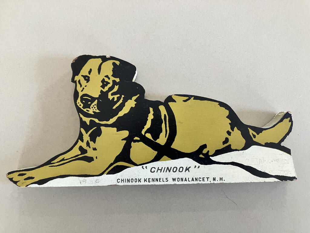 Campaign cover image for Help Put a Statue of Chinook in Tamworth Village!