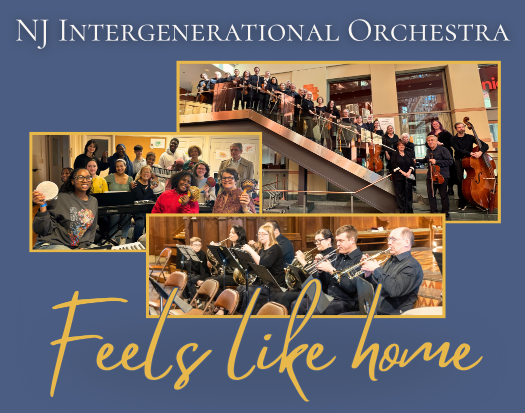 Campaign cover image for NJIO Giving Tuesday + December Fundraiser