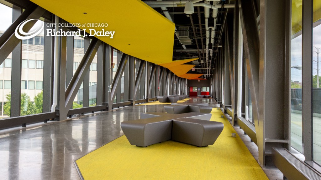 Campaign cover image for THE DALEY COLLEGE SCHOLARSHIP FUND