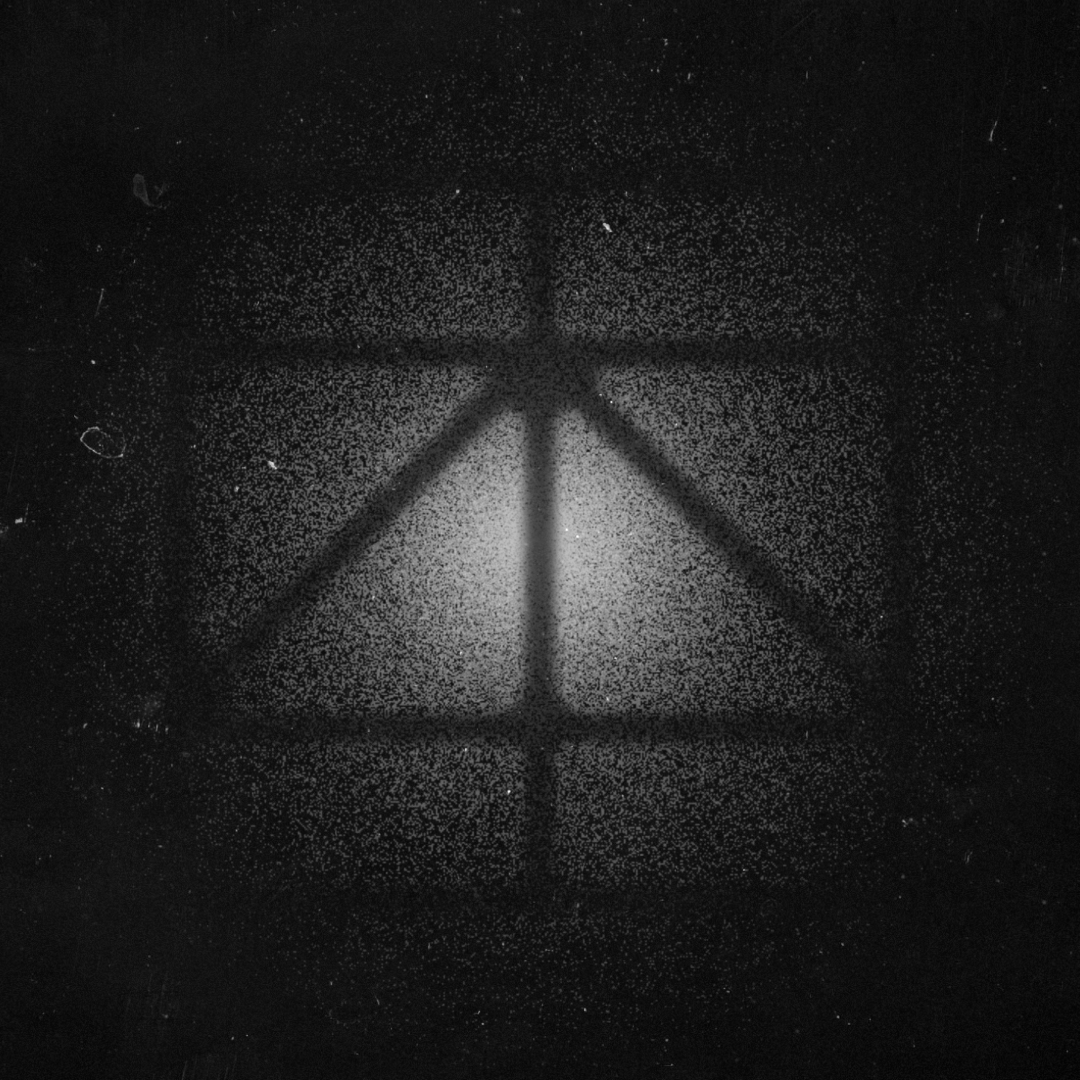 Campaign cover image for SassyBlack: HouseCat