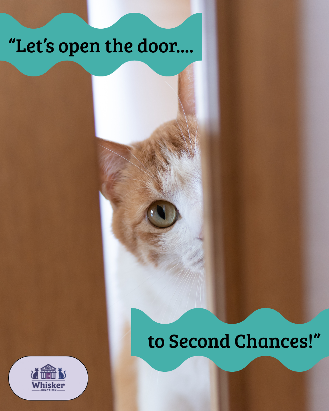 Campaign cover image for Open the Door to Second Chances