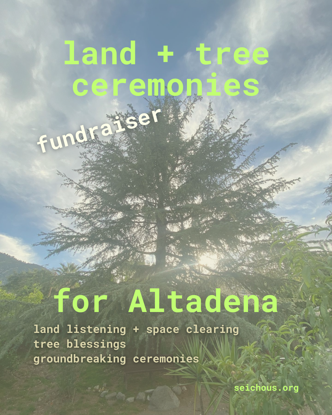 Campaign cover image for Land + Tree Ceremonies for Altadena