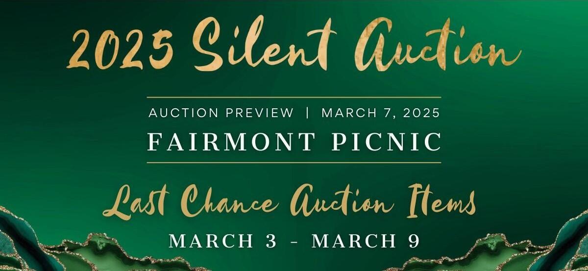 Campaign cover image for 2025 SILENT AUCTION