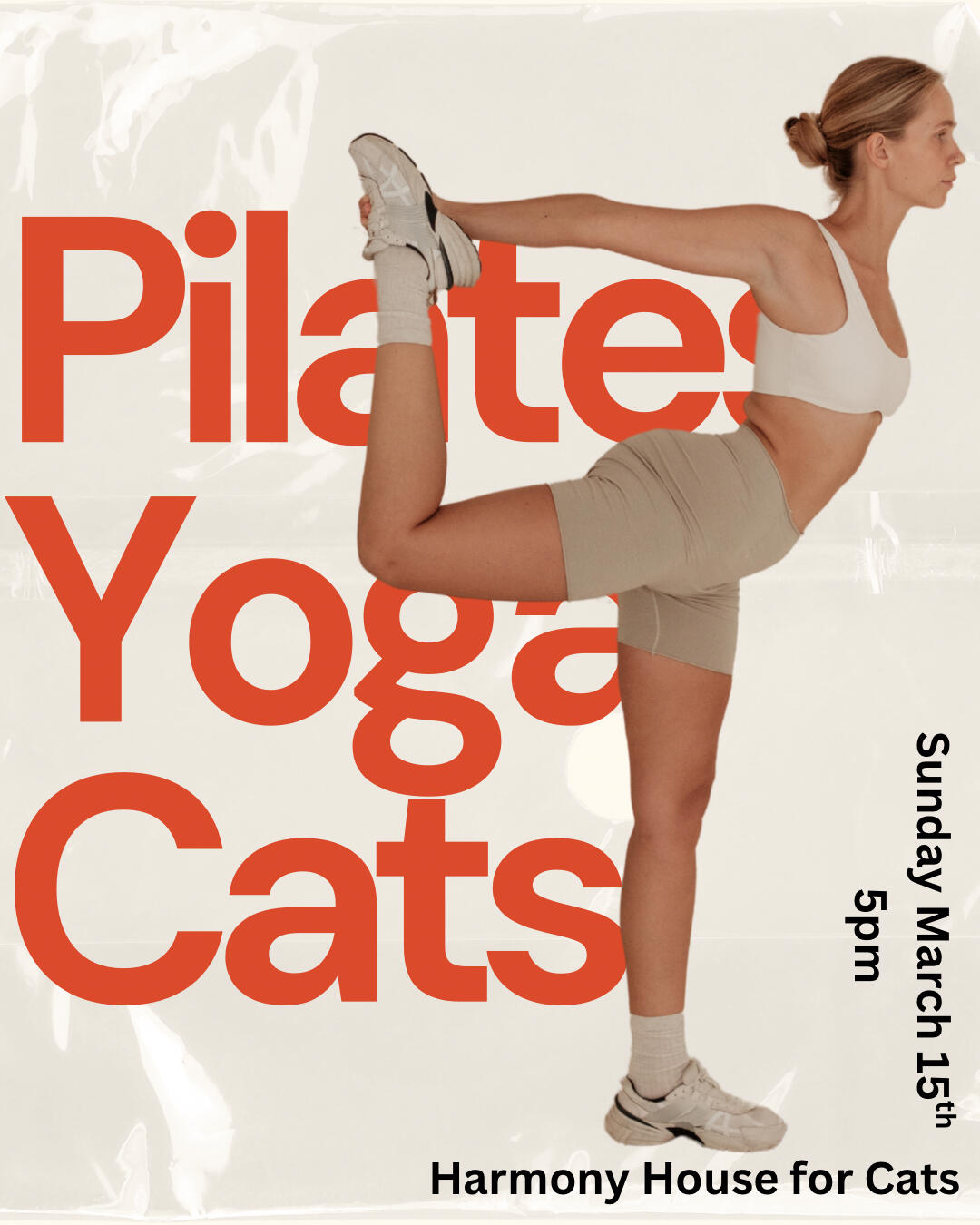 Campaign cover image for Feline Fitness - March 15, 2026