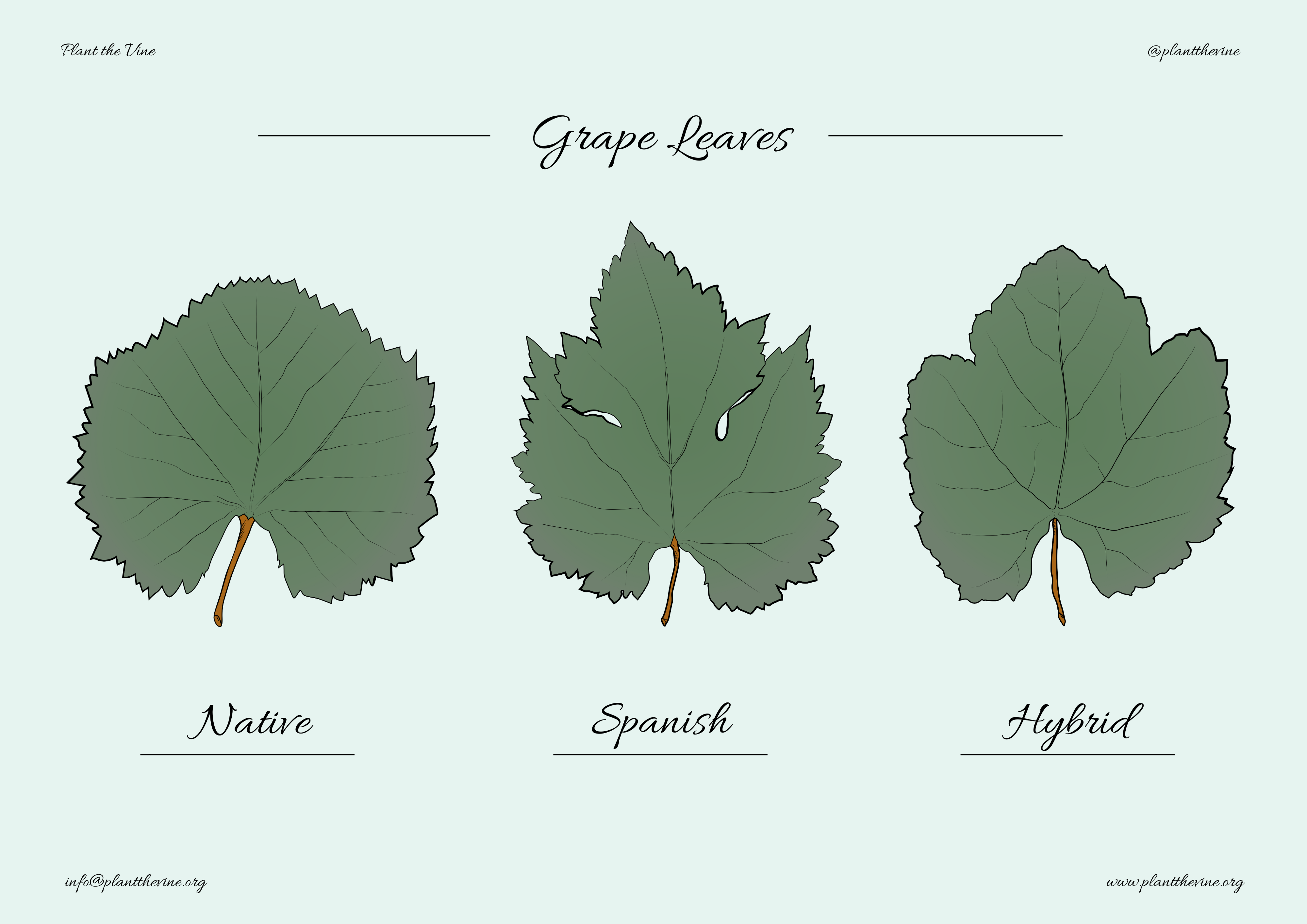 Campaign cover image for Resistance and Resilience