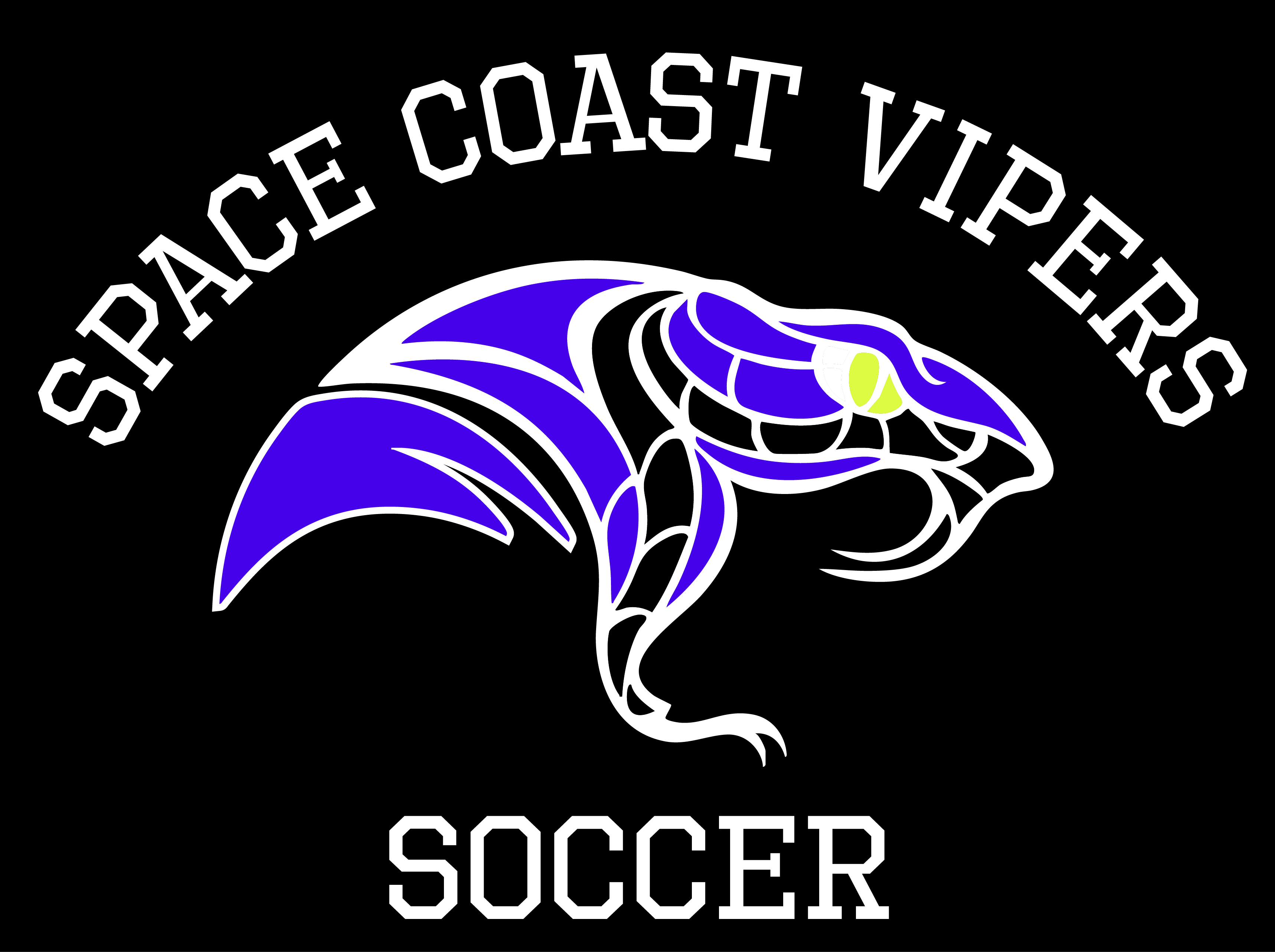 Campaign cover for Space Coast Vipers Soccer