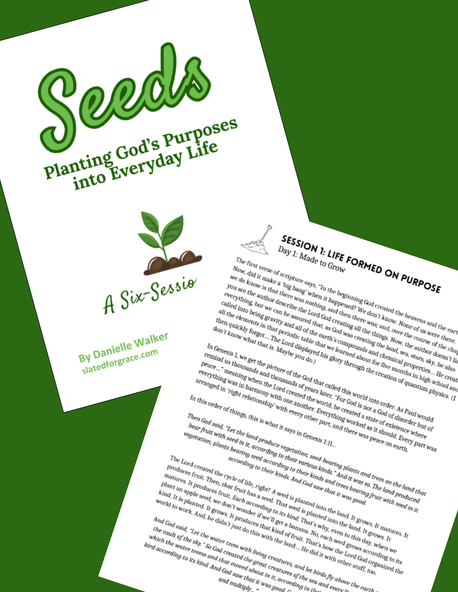 Campaign cover for SEEDS: Planting God’s Purposes Into Everyday Life