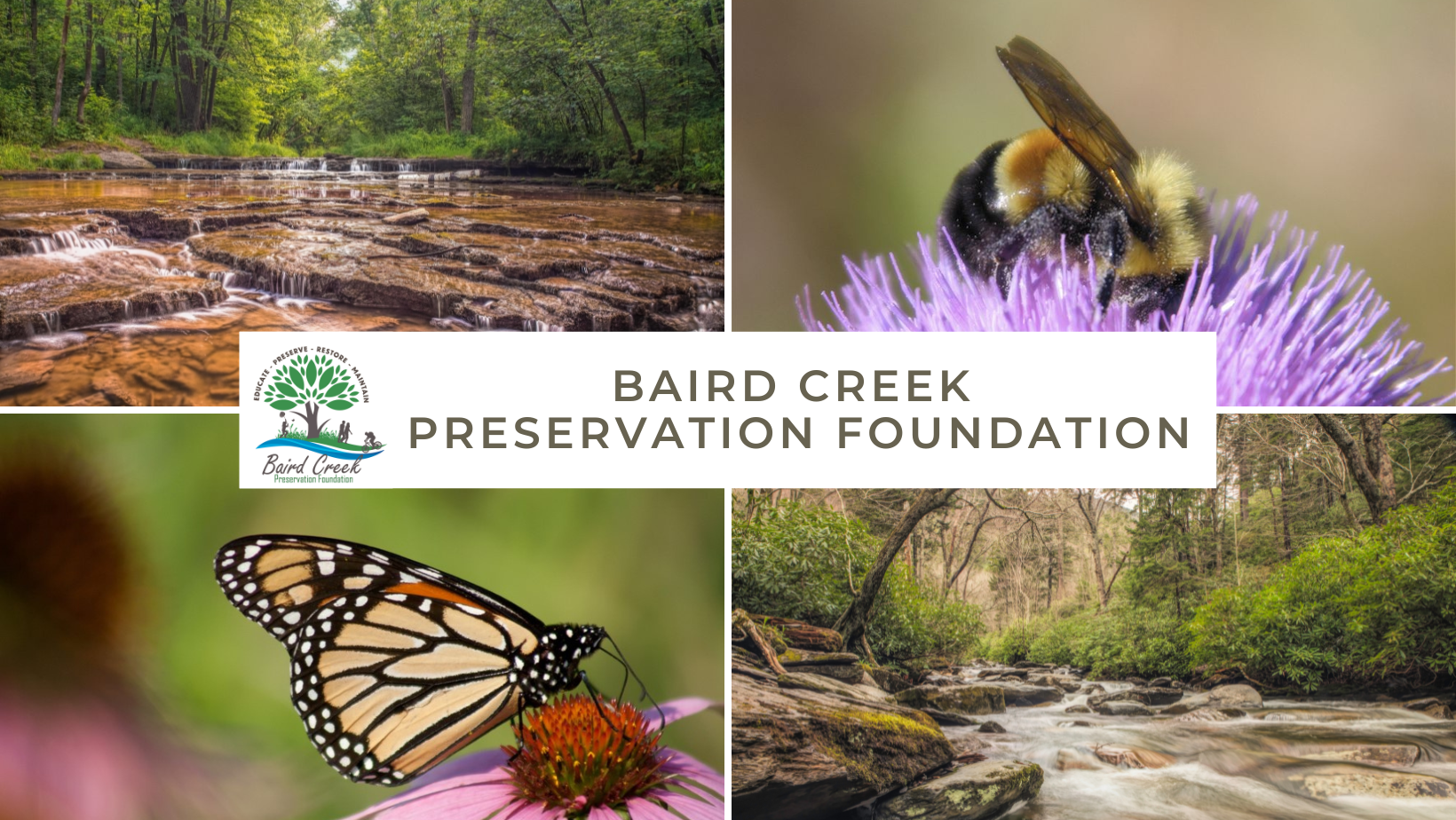 Campaign cover image for Volunteer Event: Seeding - 12/20/25