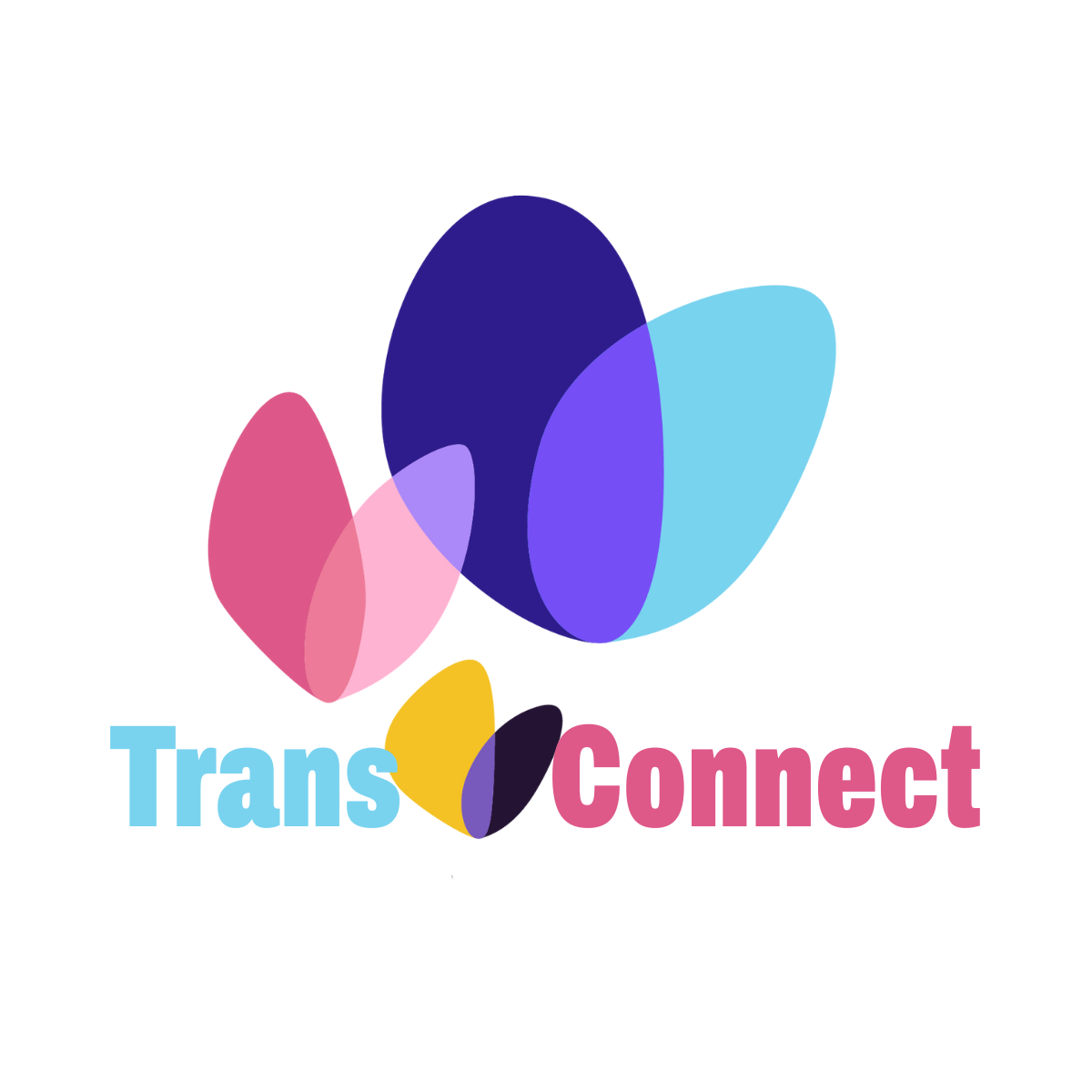 Campaign cover image for TransConnect