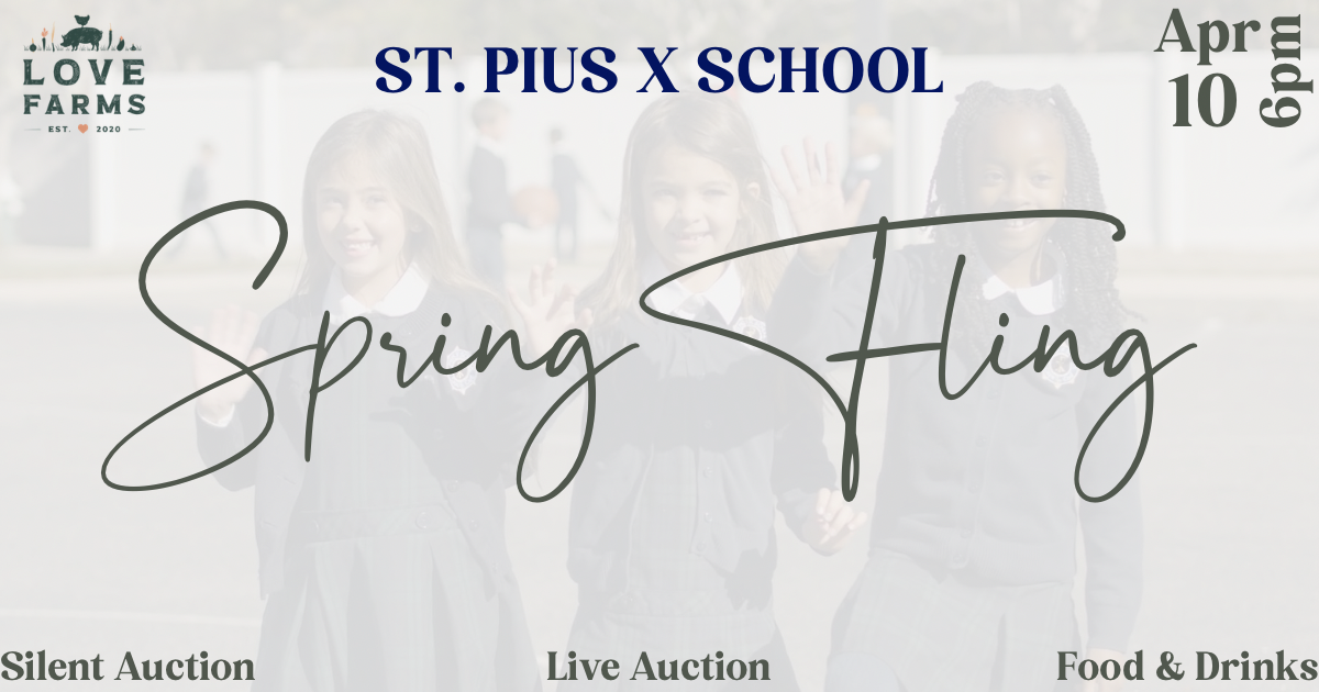 Campaign cover image for SPXS Spring Fling 2026