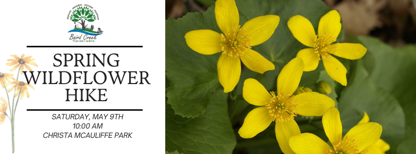 Campaign cover image for Spring Wildflower Hike - 5/9/26