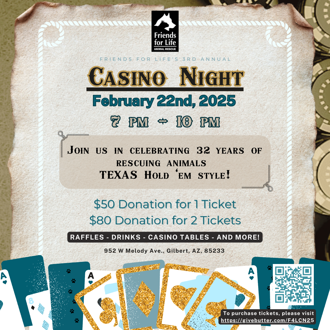 Campaign cover image for Friends for Life's Casino Night 2025