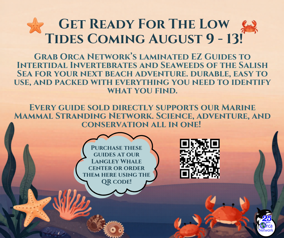 Campaign cover image for August Low Tide Guide Sale