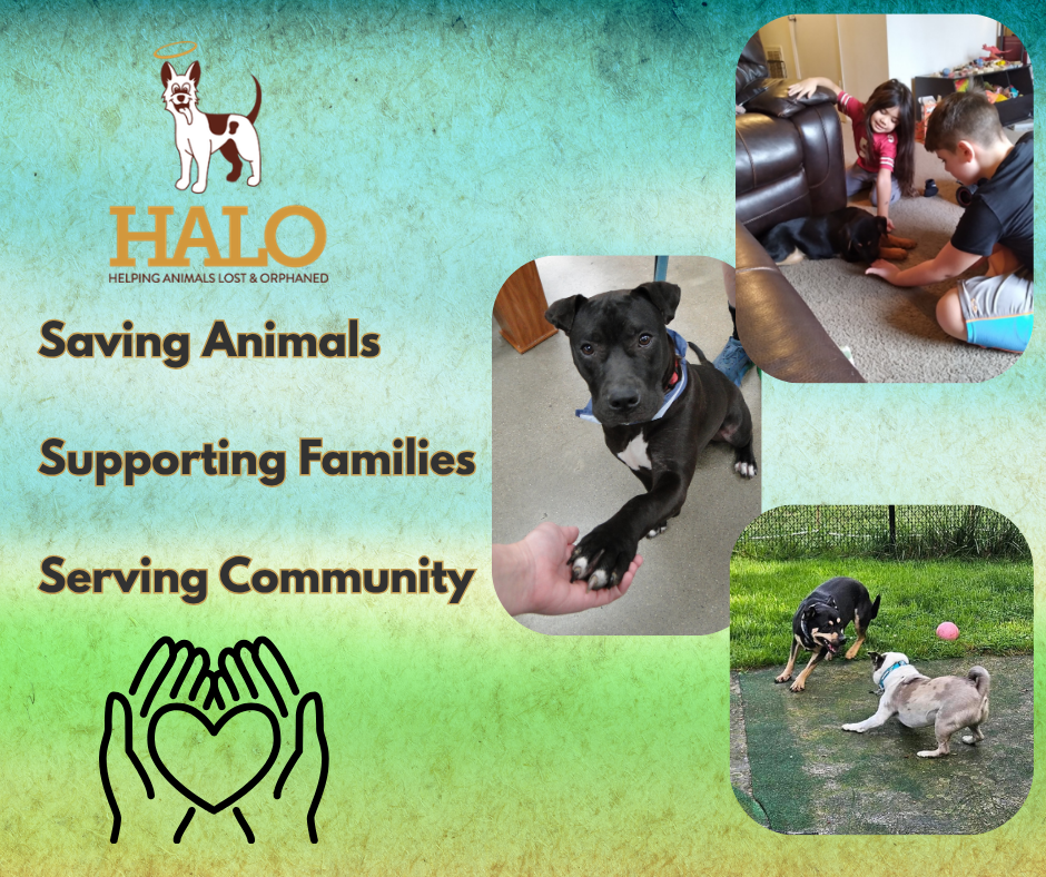 Campaign cover image for Spring into action and give them a chance!