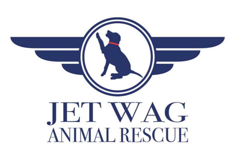 Campaign cover image for Jet Wag Animal Rescue Giving Tuesday Fundraiser