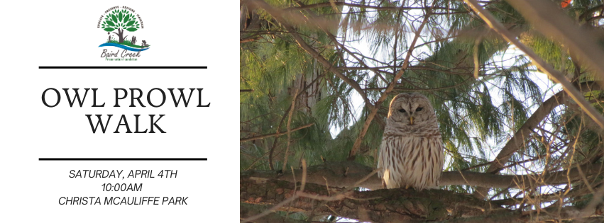 Campaign cover image for Owl Prowl Walk - 4/4/26