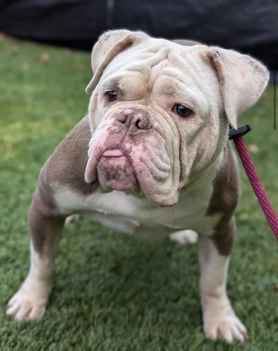 Campaign cover image for B2TR Hospice Kids