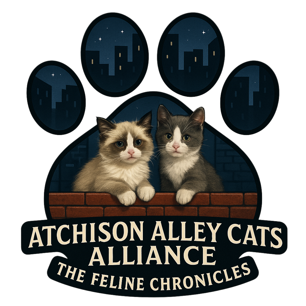 Campaign cover for From Alley to Advocate