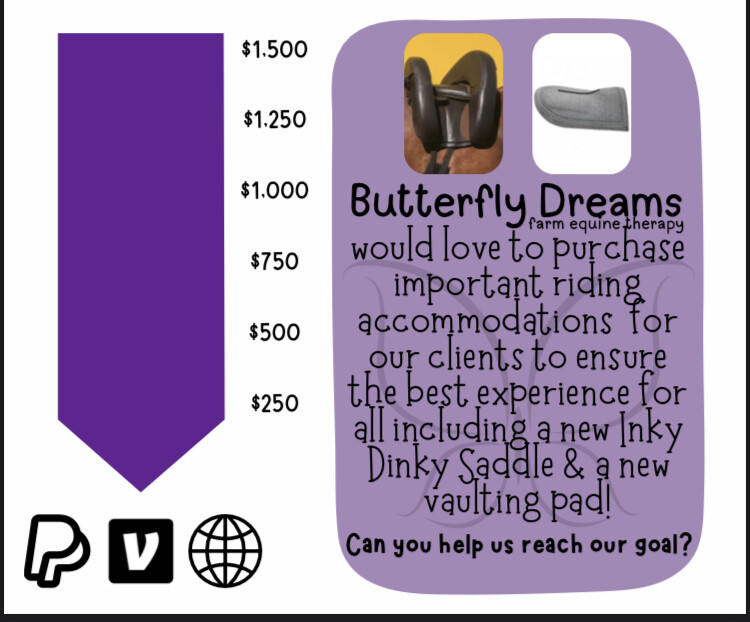 Campaign cover image for Inky Dinky Saddle and Vaulting Pad