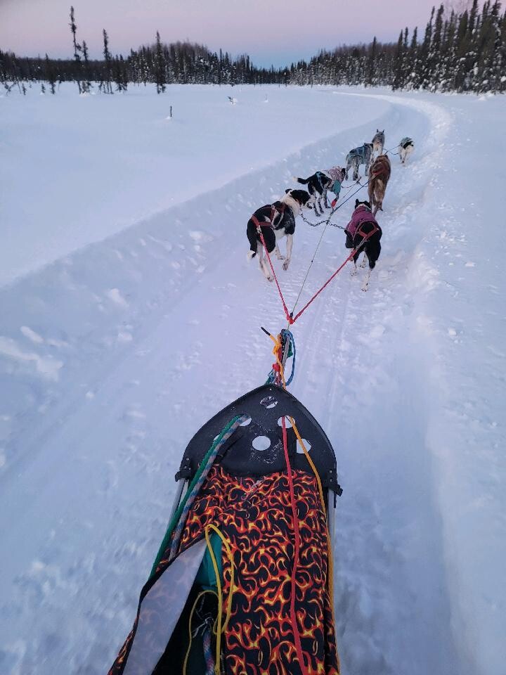 Campaign cover image for Walker's Wild Ride