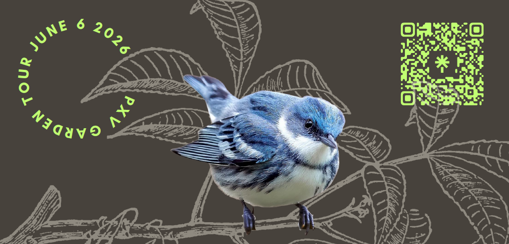 Campaign cover image for PXV Garden Tour 2026: Bird Up!
