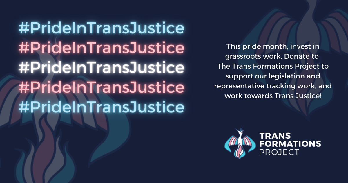 Campaign cover image for Pride in Trans Justice