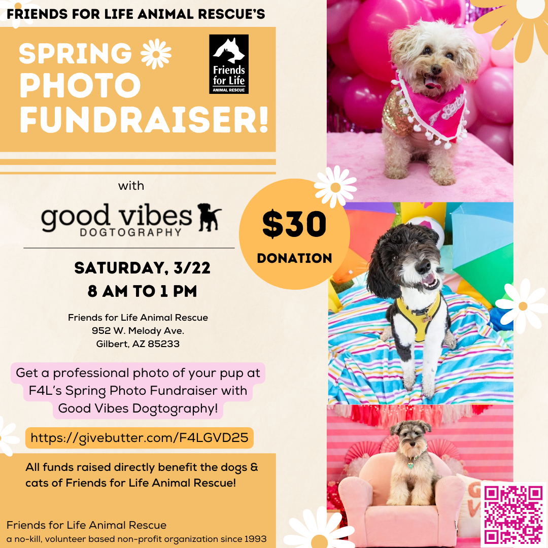 Campaign cover image for Photo Pawp-Up with Goodvibes Dogtography @ F4L!