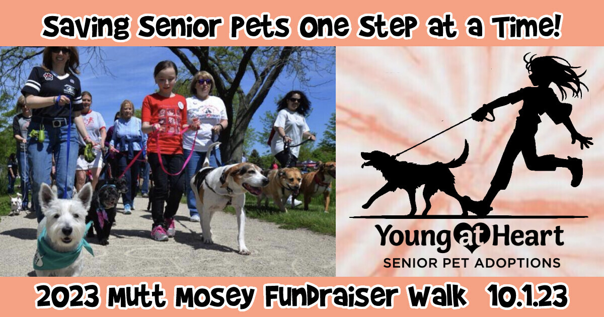 Campaign cover image for 2023 Mutt Mosey Fundraiser Walk