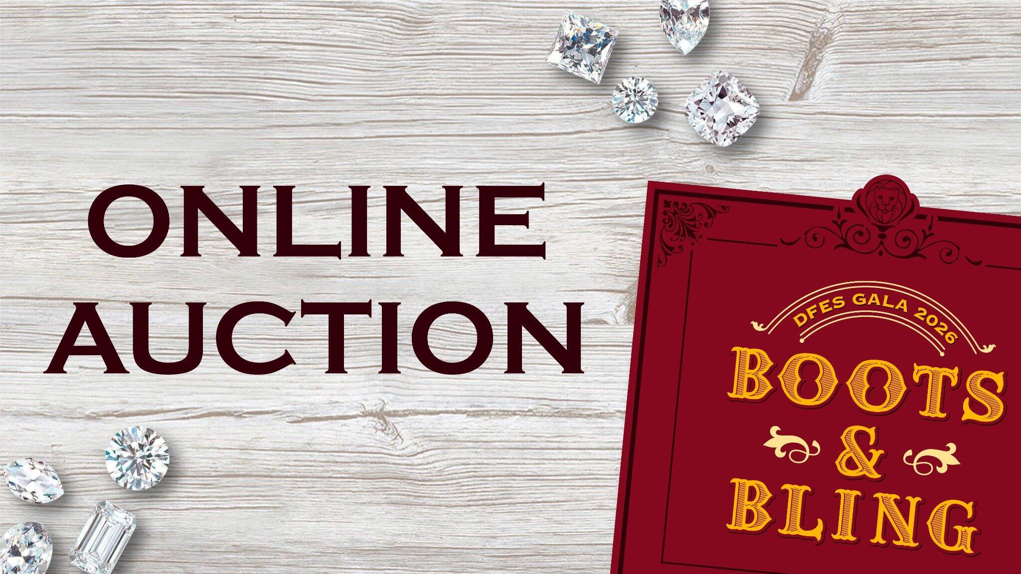 Campaign cover image for DFES 19th Annual Auction
