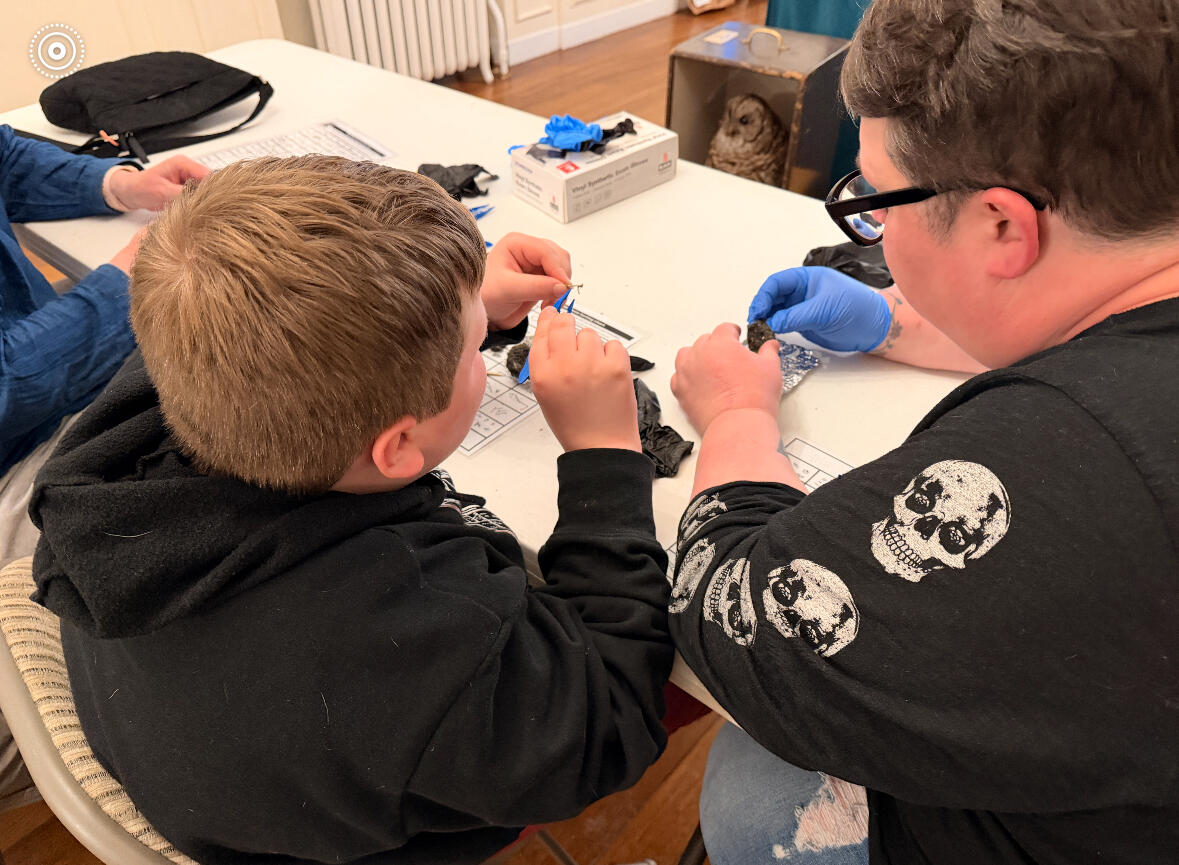 Campaign cover image for Explore Owls and Owl Pellet Dissection