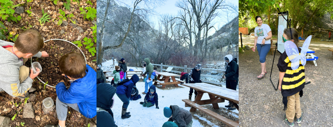 Campaign cover image for 2025-26 Homeschool Series