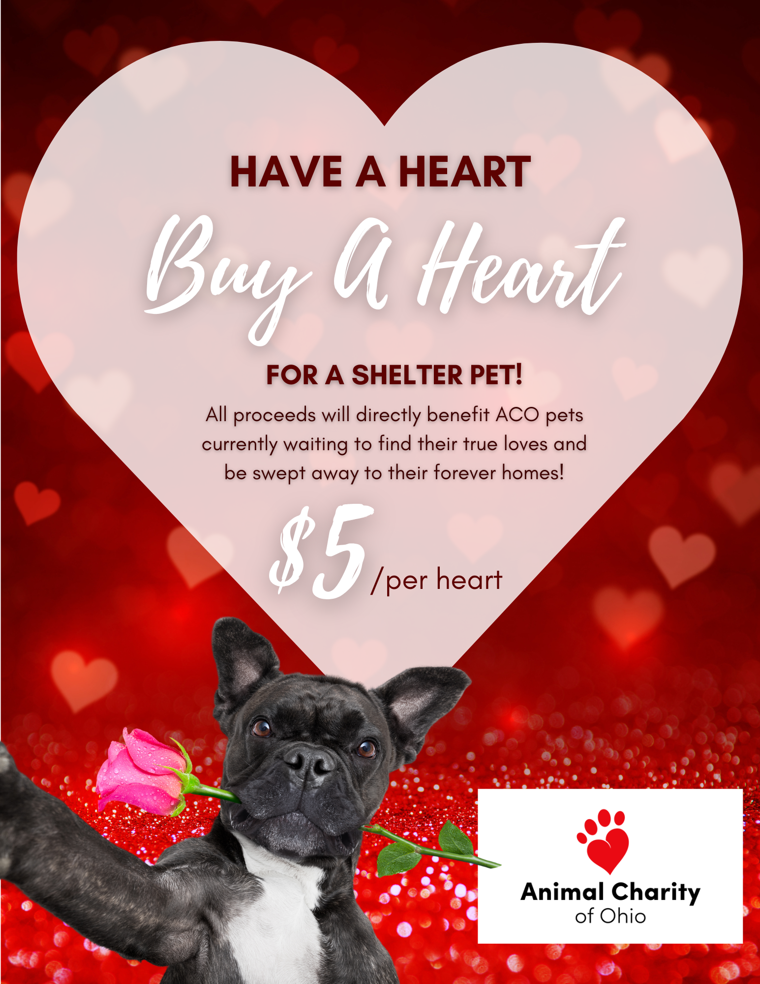 Campaign cover image for Have A Heart, Buy A Heart - for a Shelter Pet!