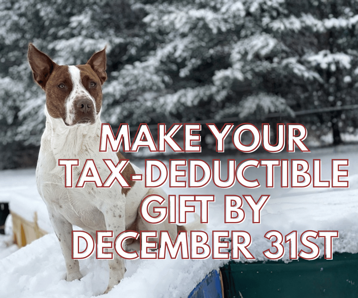 Campaign cover image for Year End Impact 2025 🎄