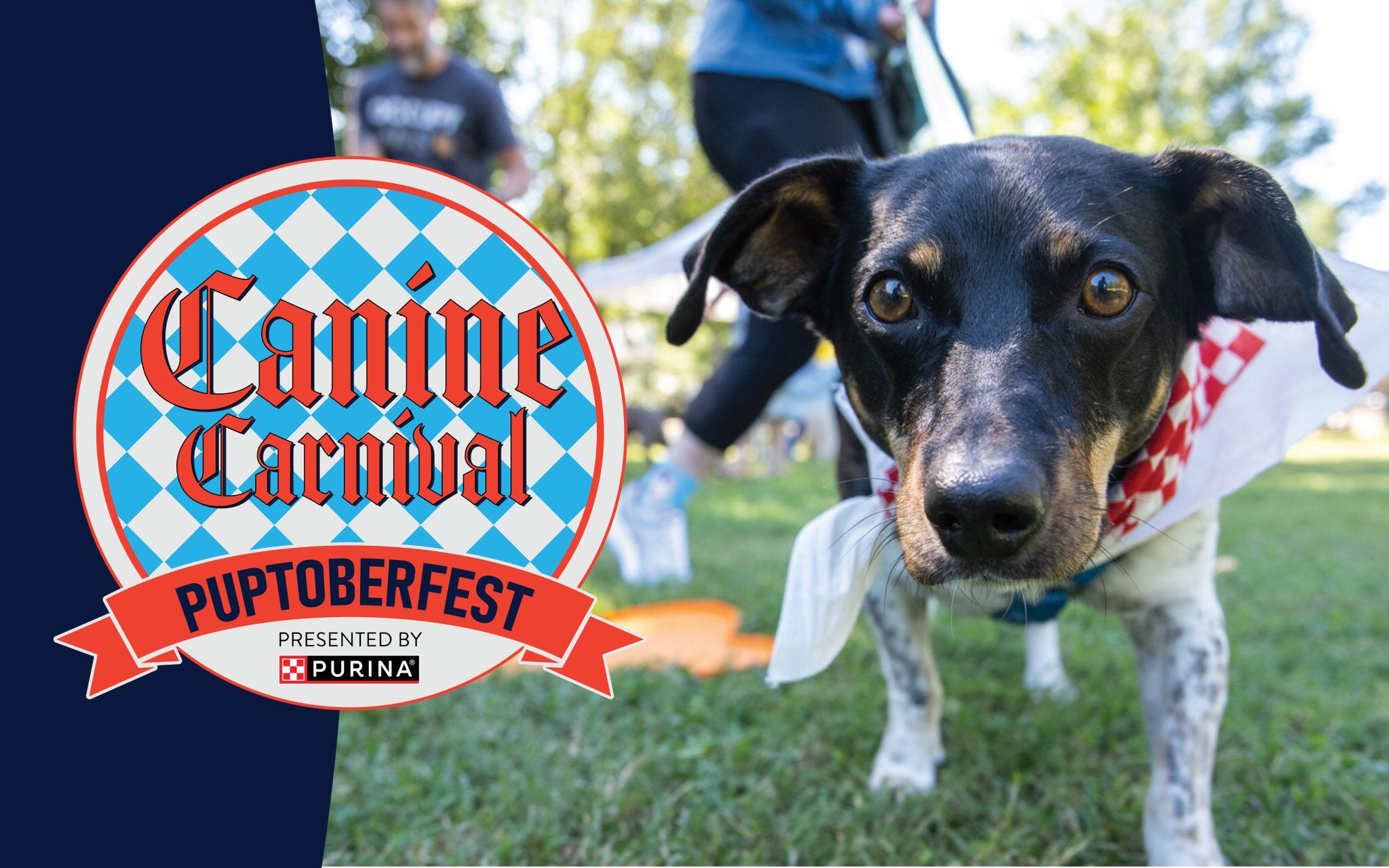 Campaign cover image for Canine Carnival 2026
