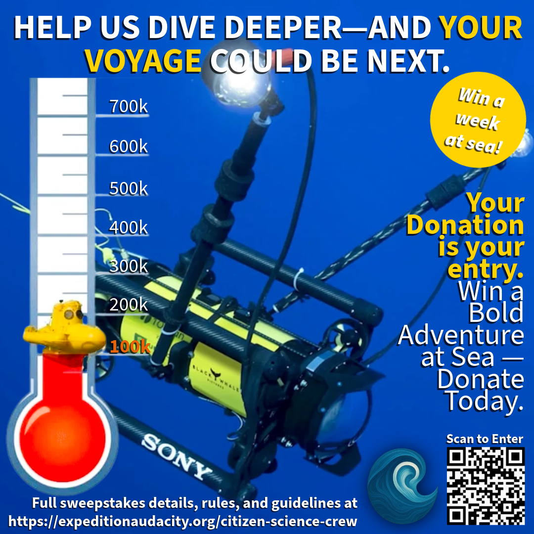 Campaign cover image for The Deep Beckons — Help Us Dive Further