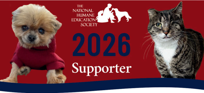 Campaign cover image for Member Card 2026