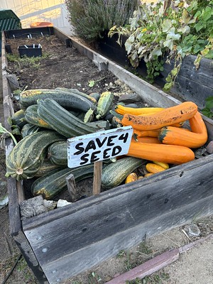 Campaign cover image for Seed Saving in Community Class