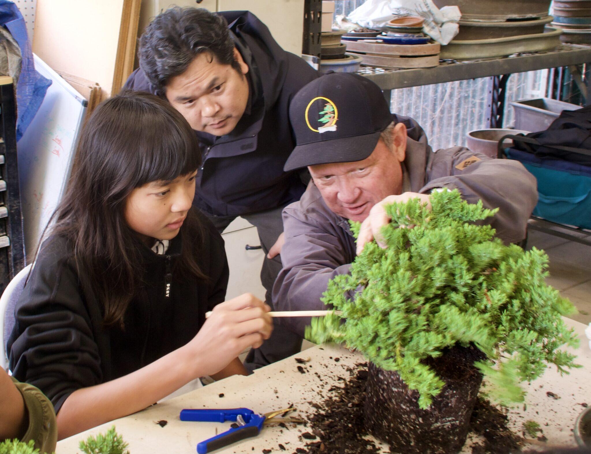 Campaign cover image for Make Your Own Bonsai