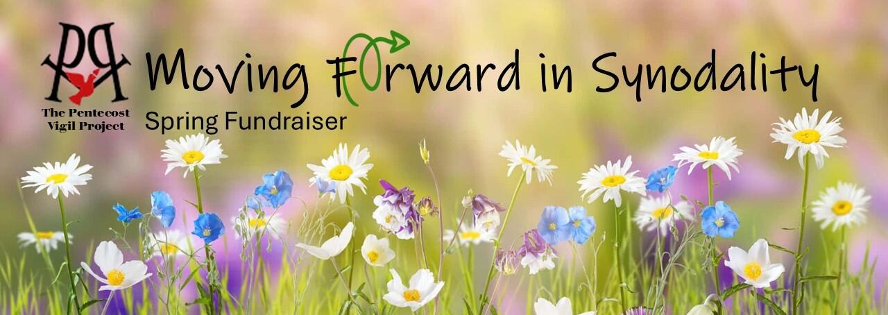 Campaign cover image for Moving Forward in Synodality