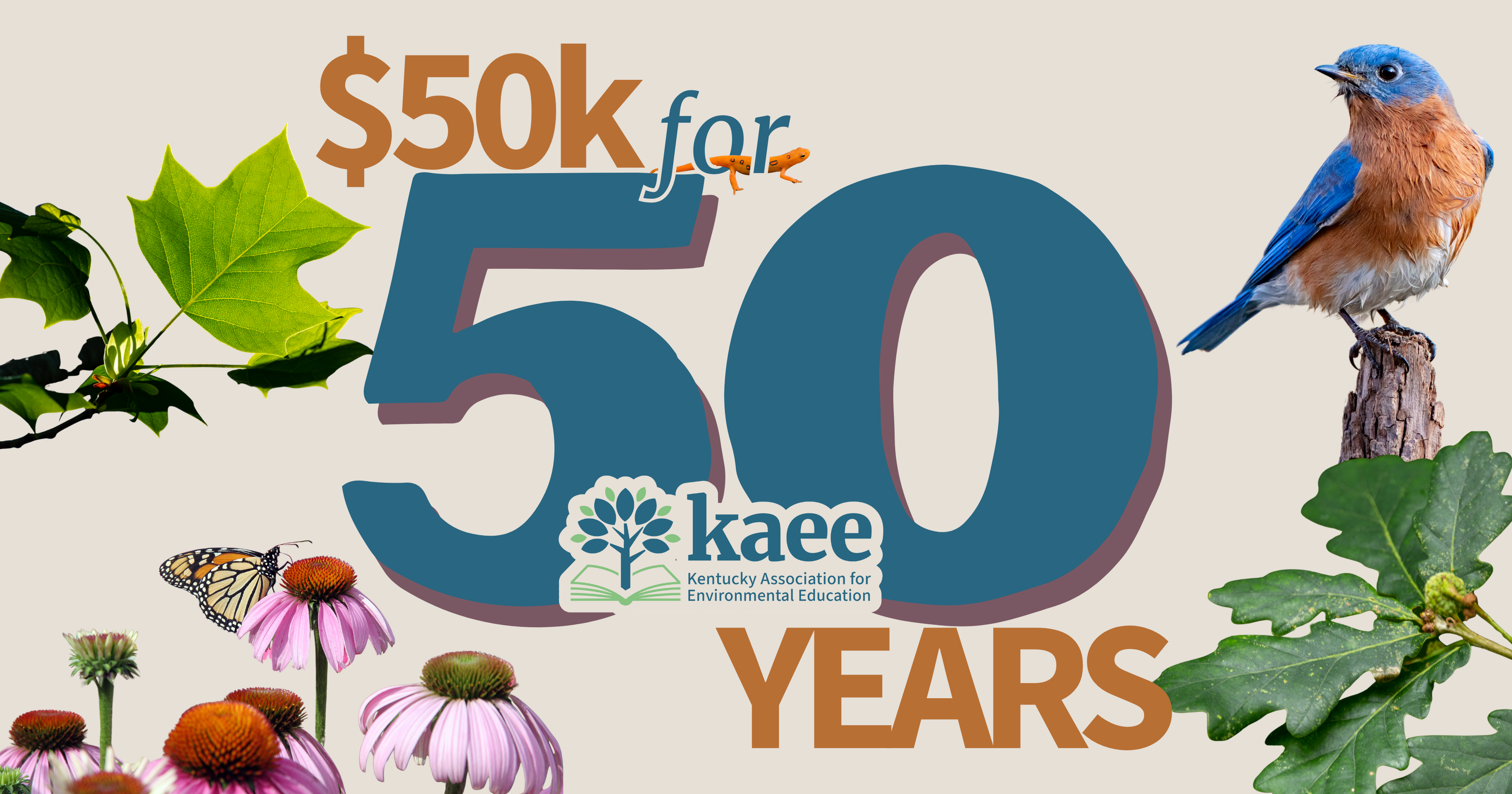 Campaign cover image for KAEE $50k for 50 Years