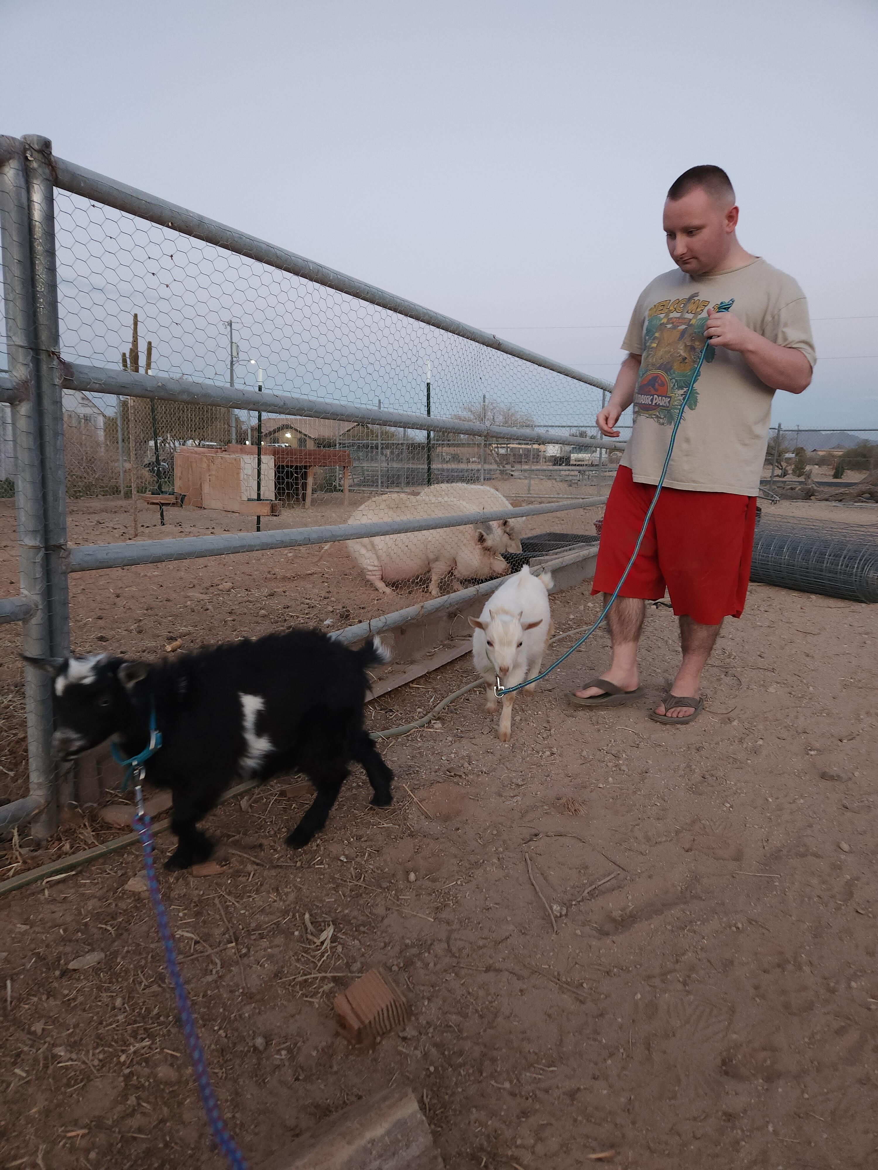 Campaign cover image for Help Build Bridges of Hope Farm Foundation for Autistic Kids 🐐💚