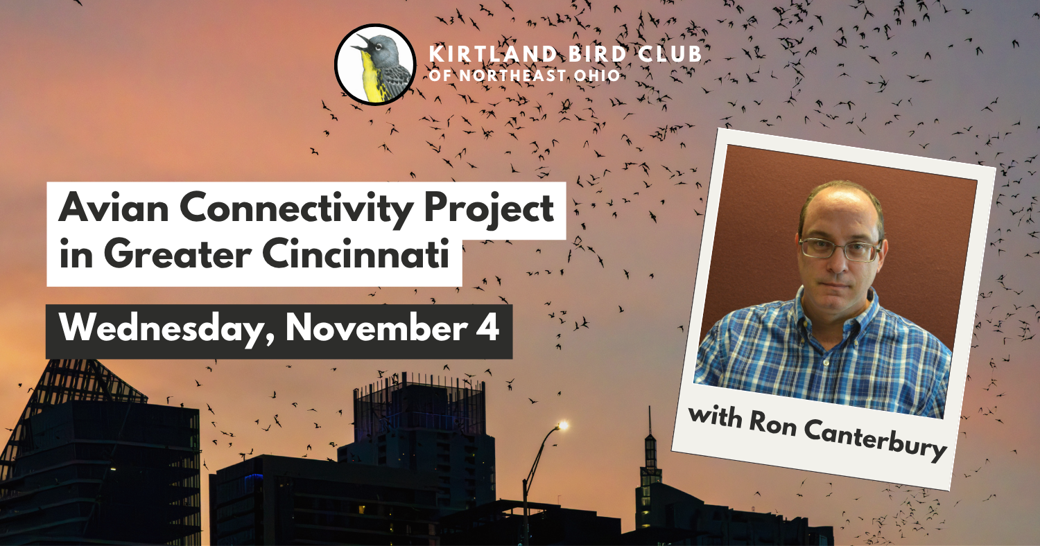 Campaign cover image for Avian Connectivity Project in Greater Cincinnati