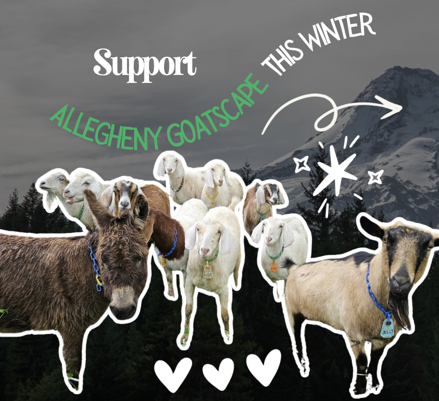 Campaign cover image for "Goating" Tuesday & Winter Care Fundraiser