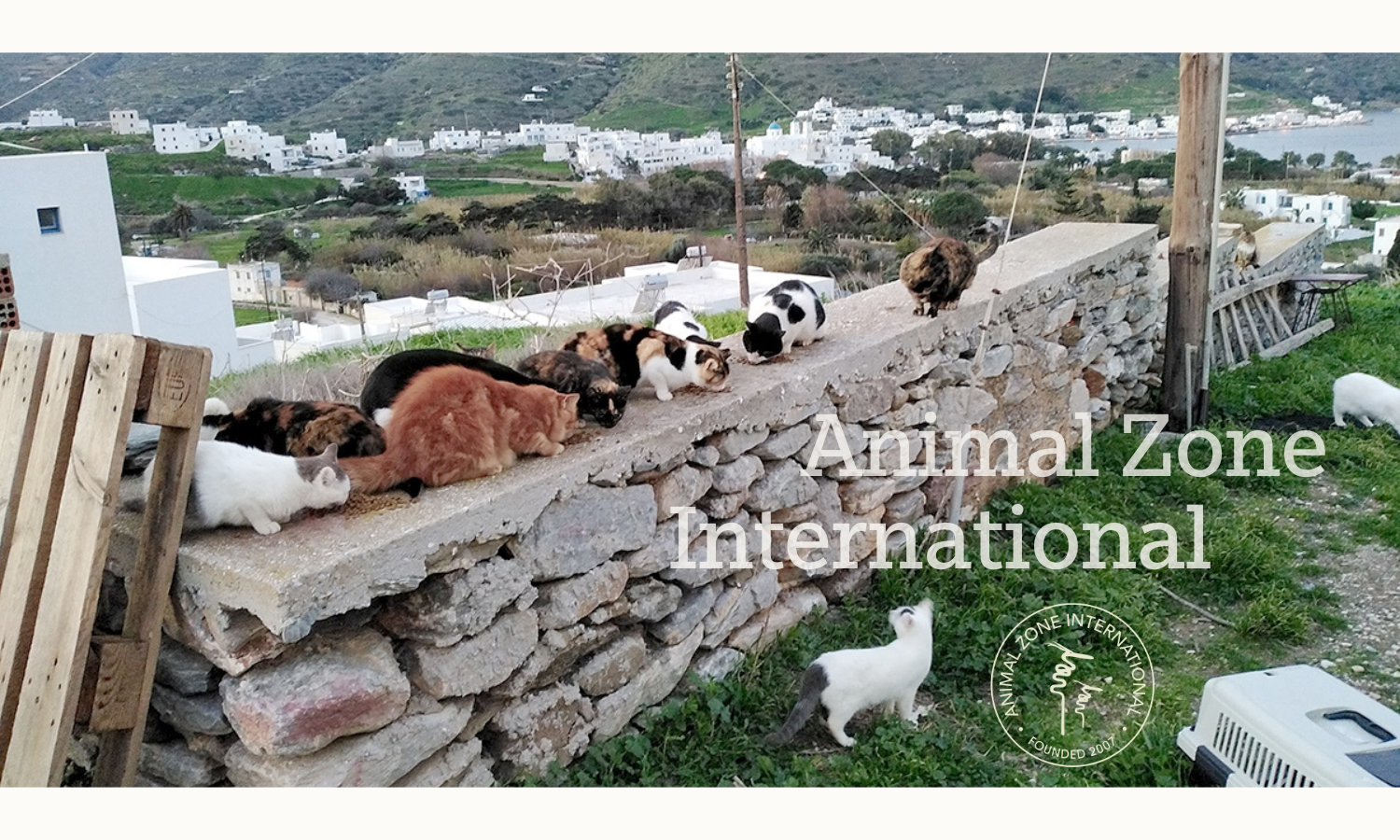 Campaign cover image for June Benefit 2026