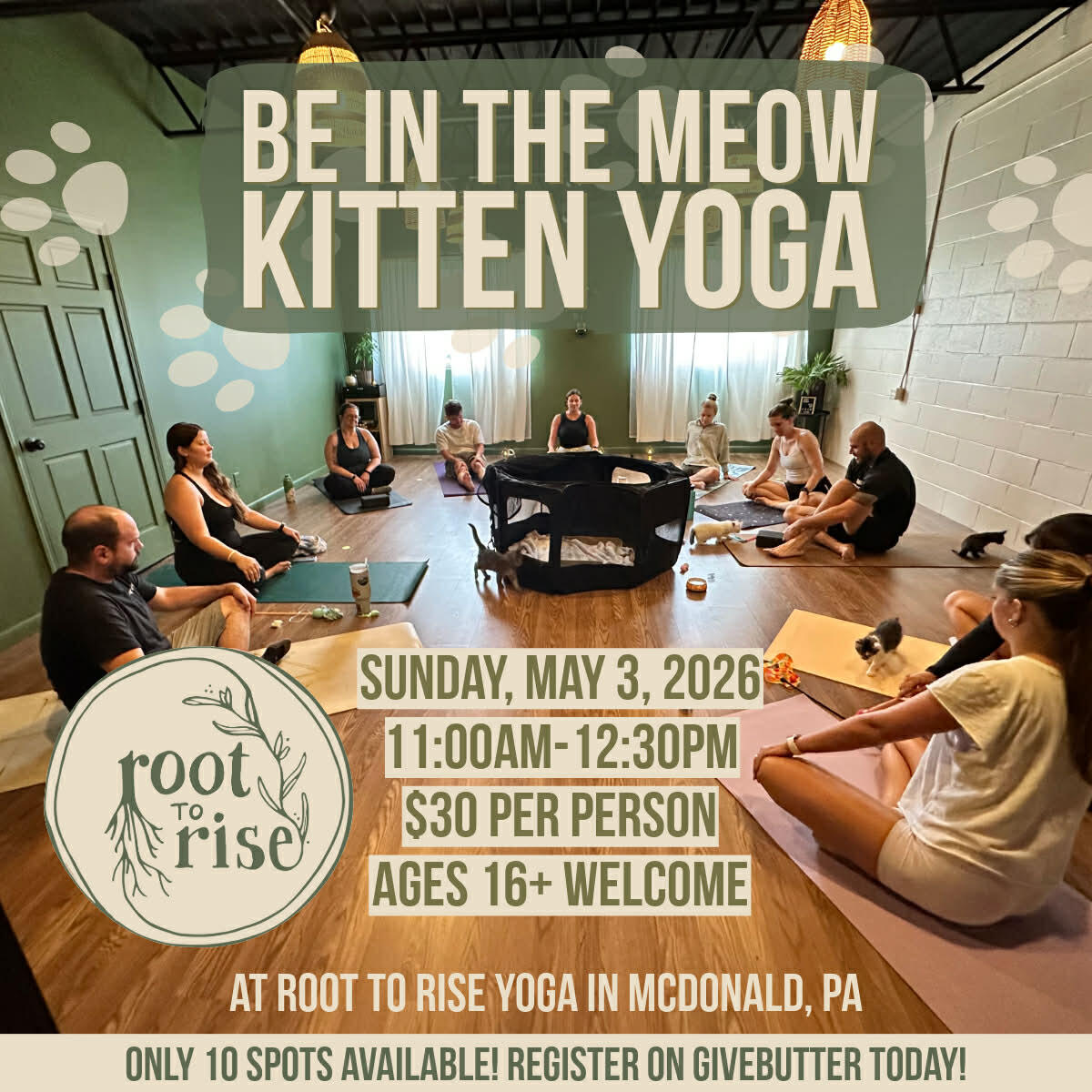 Campaign cover image for Be in the Meow Kitten Yoga - 5/2026