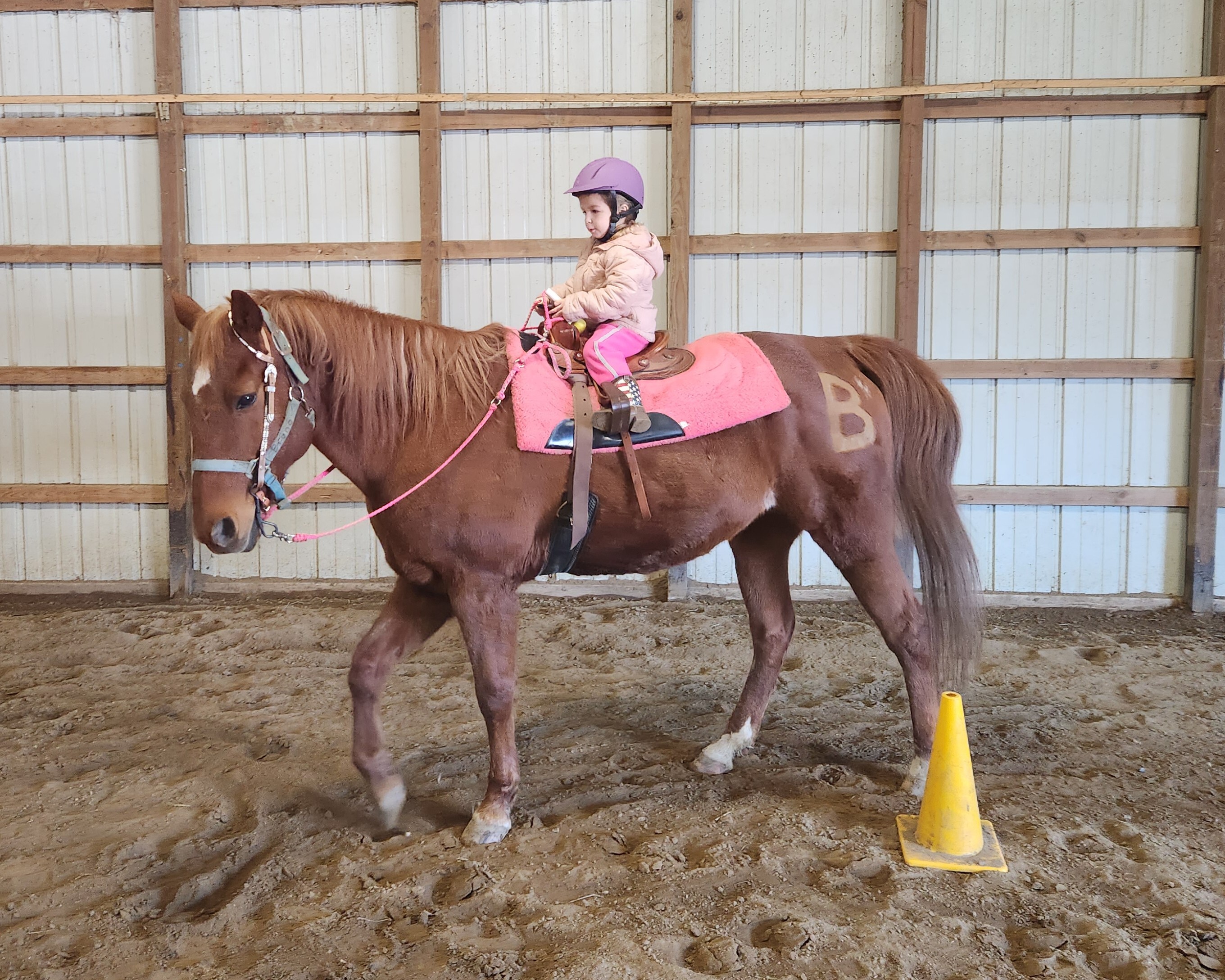 Campaign cover for Sponsor a Rider at Boots to Grasses Therapeutic Horsemanship Program