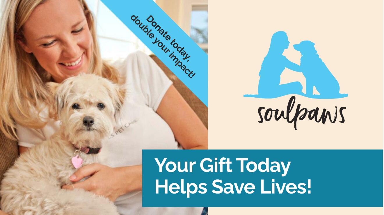 Campaign cover image for SoulPaws Save Lives