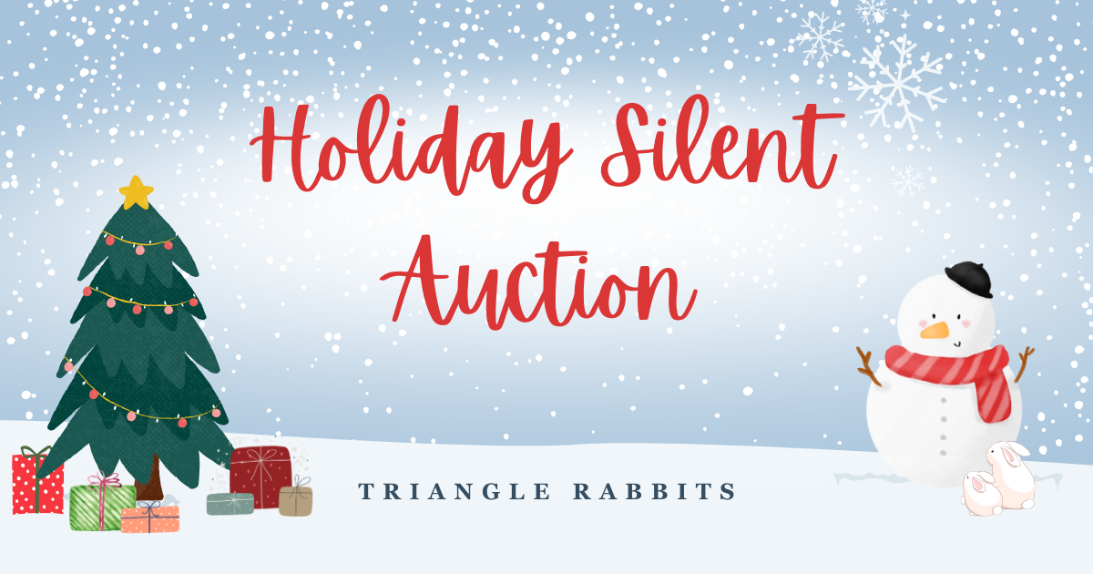 Campaign cover image for Holiday Silent Auction