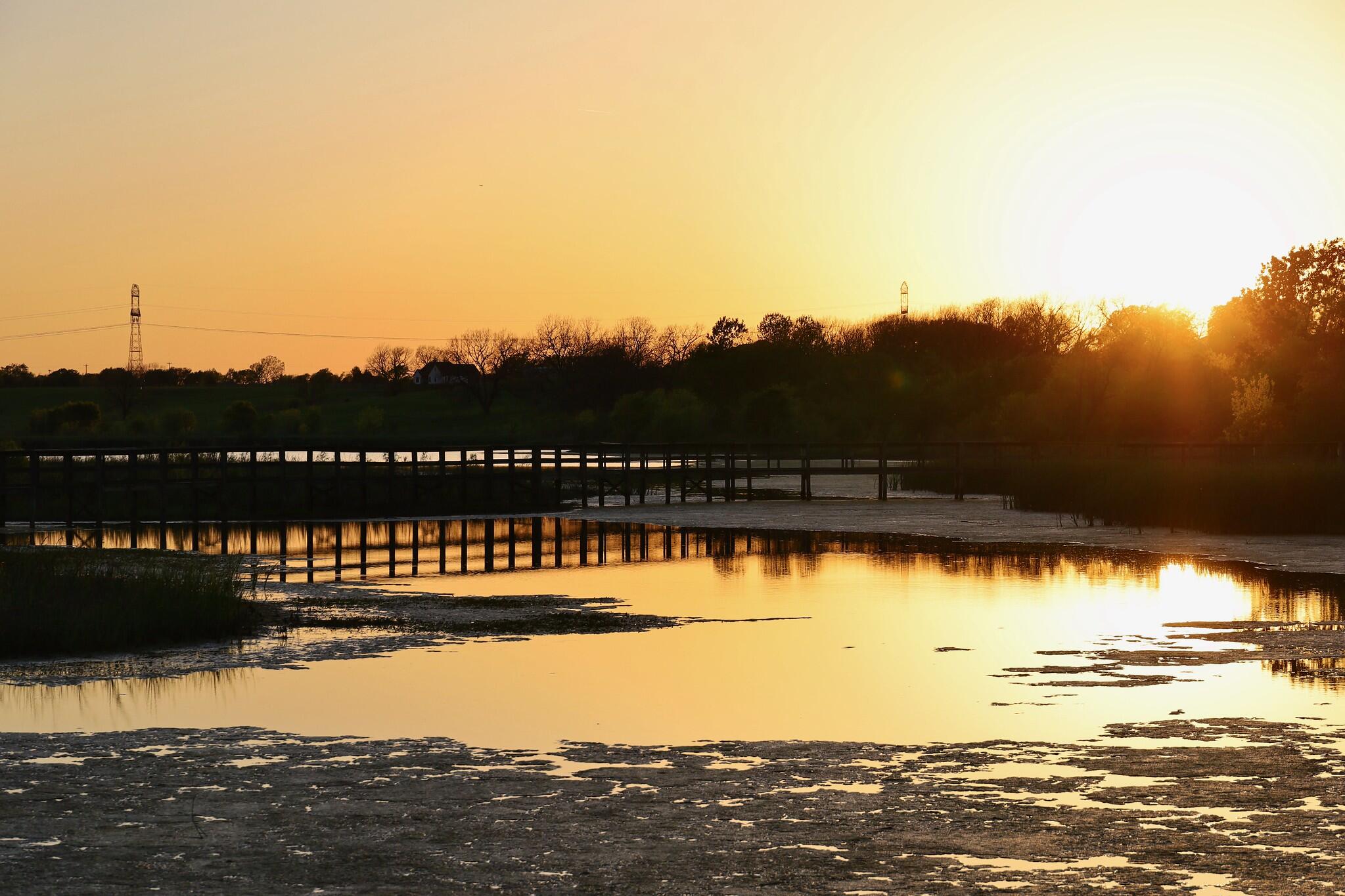 Campaign cover image for Members Only: Sunset Birding with the Director