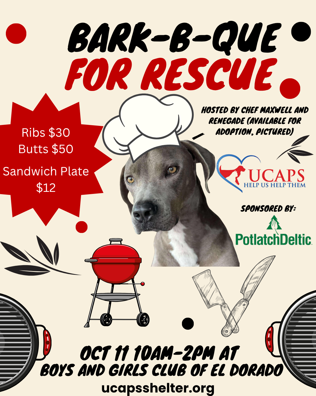 Campaign cover image for Bark-B-Que For Rescue
